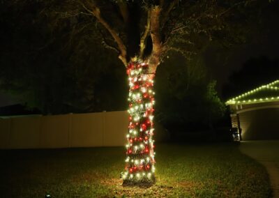 christmas lights installed around tree